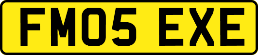 FM05EXE