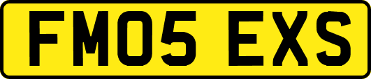 FM05EXS