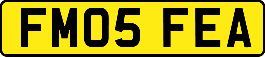 FM05FEA