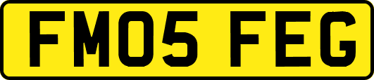 FM05FEG