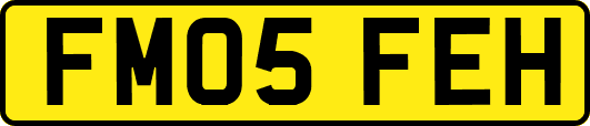 FM05FEH