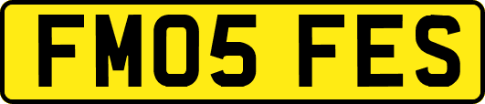 FM05FES