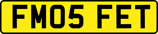FM05FET