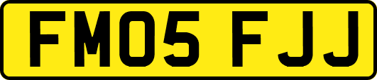 FM05FJJ