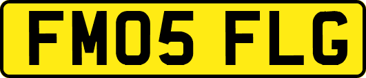 FM05FLG