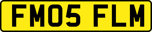 FM05FLM