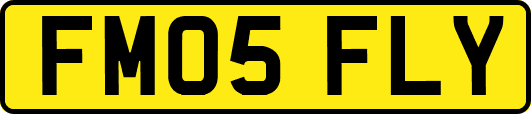 FM05FLY