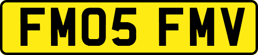 FM05FMV