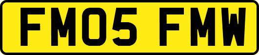 FM05FMW