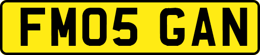 FM05GAN