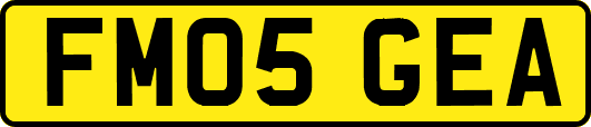 FM05GEA