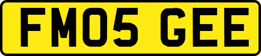 FM05GEE