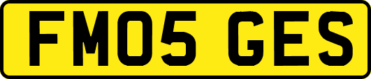 FM05GES
