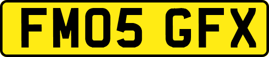 FM05GFX