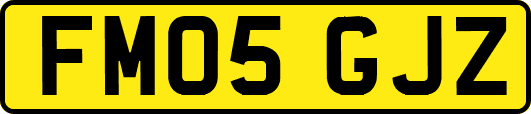 FM05GJZ