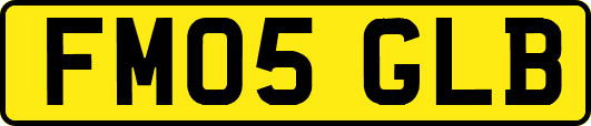 FM05GLB
