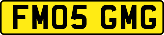 FM05GMG