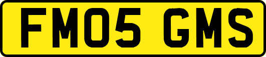 FM05GMS