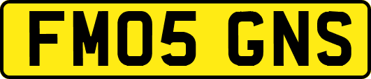 FM05GNS