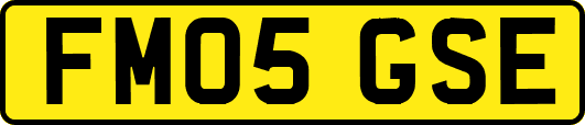 FM05GSE