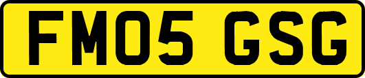 FM05GSG