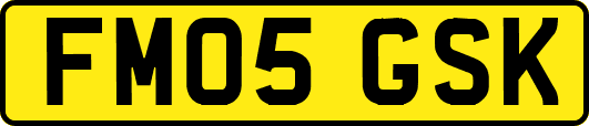 FM05GSK