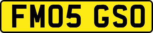 FM05GSO