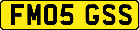 FM05GSS