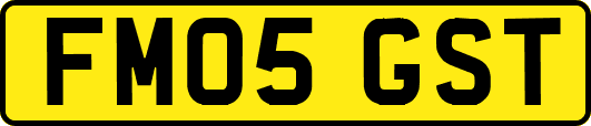 FM05GST