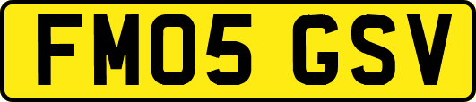 FM05GSV