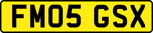 FM05GSX