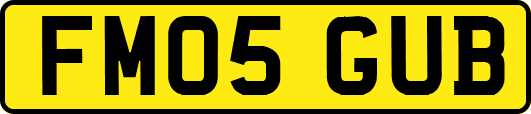 FM05GUB