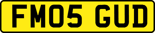 FM05GUD