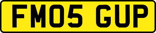 FM05GUP