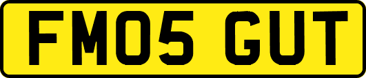 FM05GUT