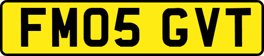 FM05GVT