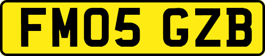 FM05GZB