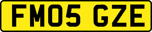 FM05GZE