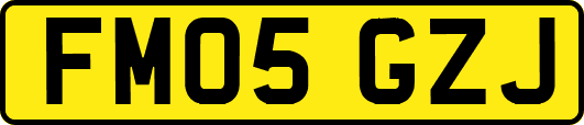 FM05GZJ