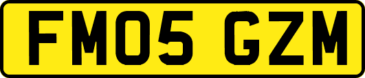 FM05GZM