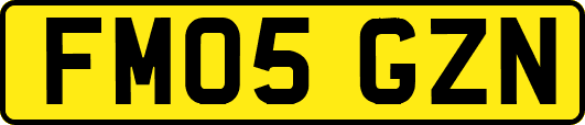 FM05GZN