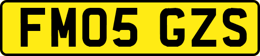 FM05GZS