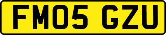 FM05GZU