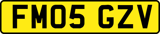 FM05GZV