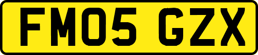 FM05GZX