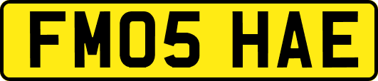 FM05HAE
