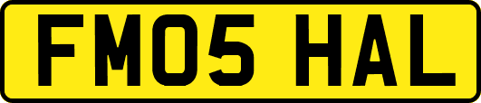 FM05HAL