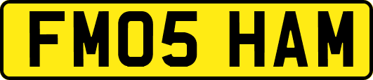 FM05HAM