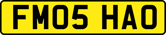 FM05HAO