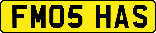 FM05HAS